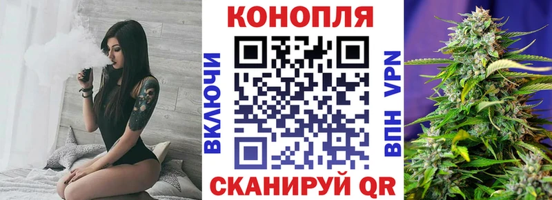 Конопля планчик  Владимир 